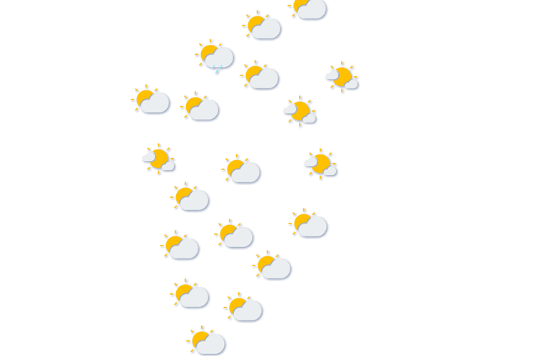 Forecast