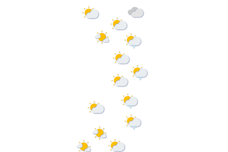 Forecast