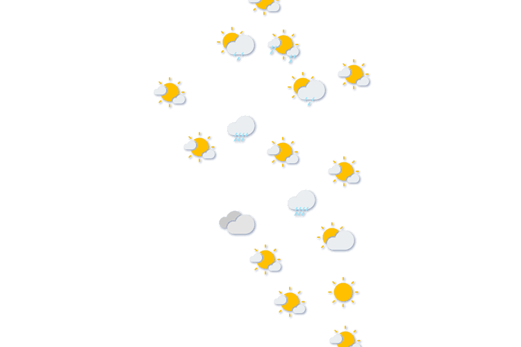 Forecast