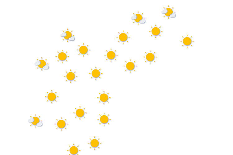 Forecast