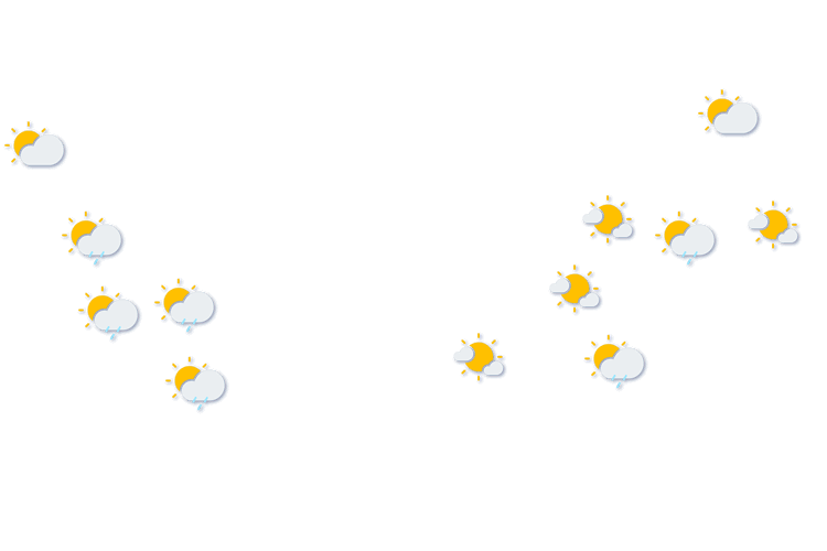Forecast