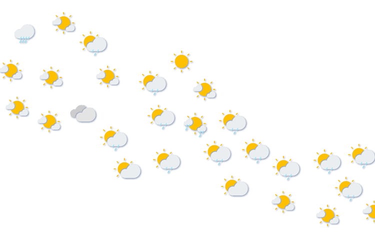 Forecast