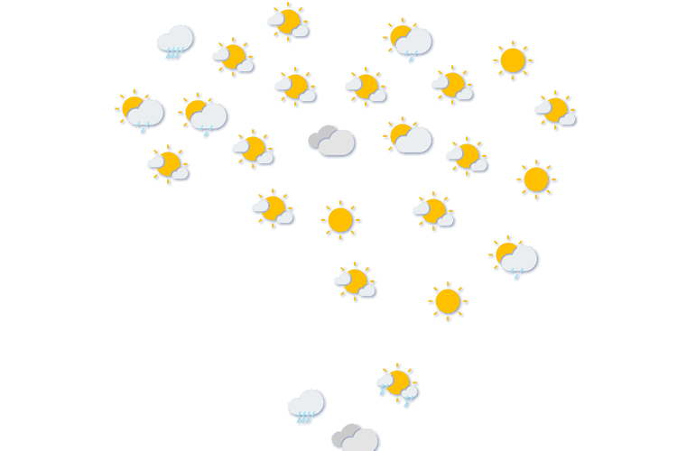 Forecast