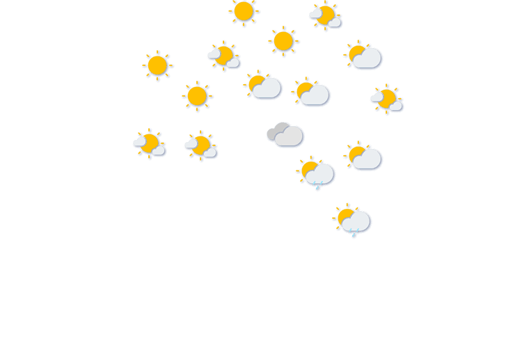 Forecast