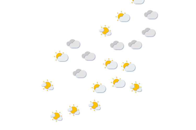 Forecast