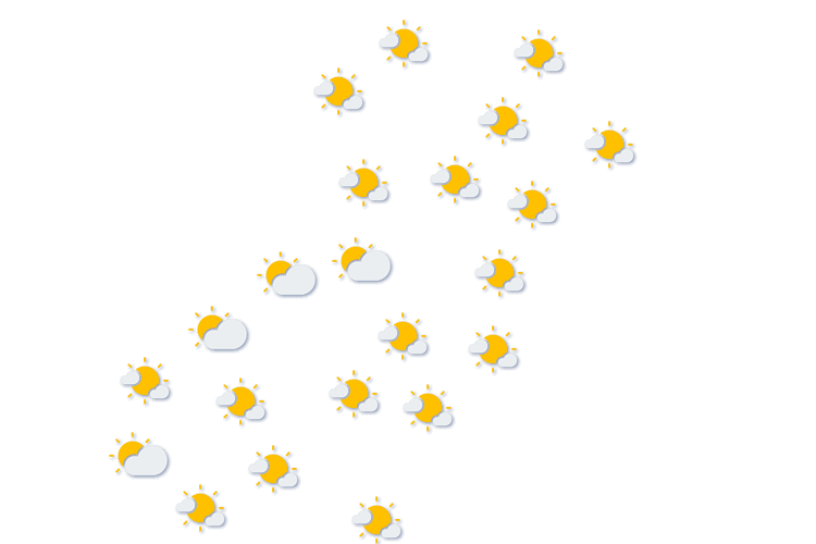 Forecast