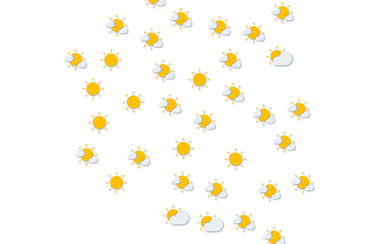 Forecast