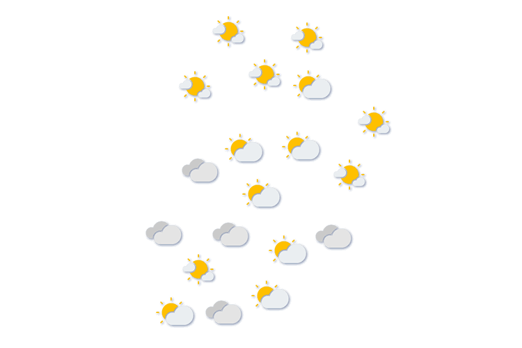 Forecast