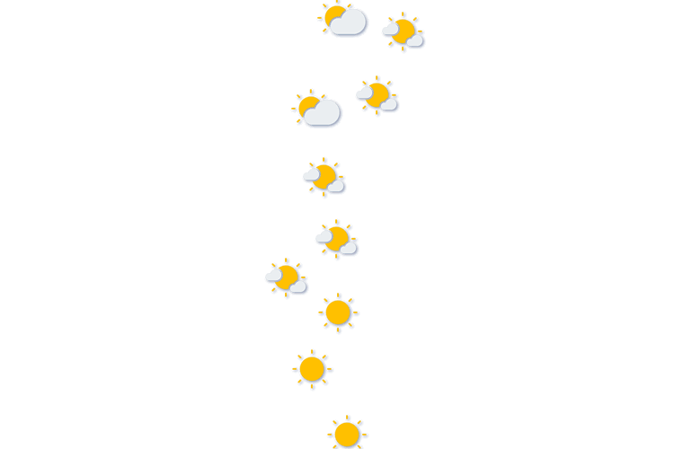 Forecast