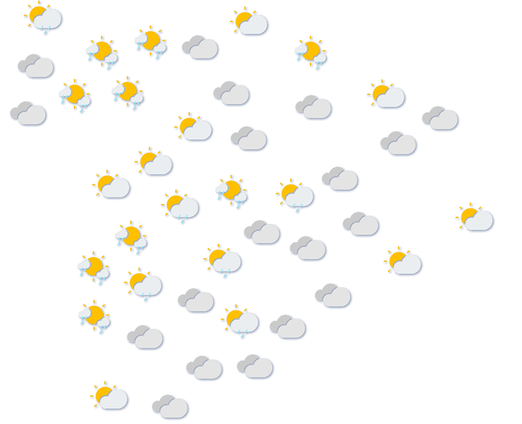 Forecast