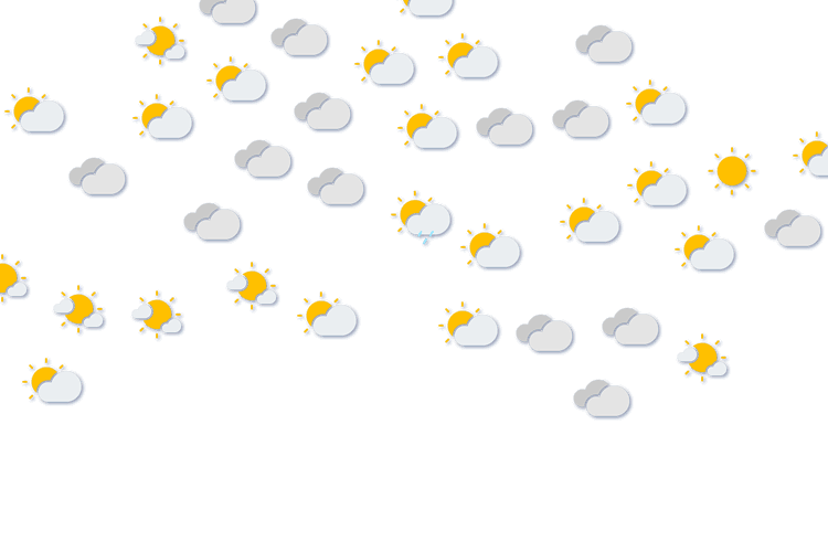 Forecast