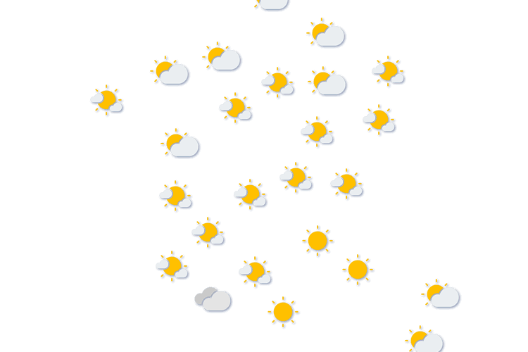 Forecast