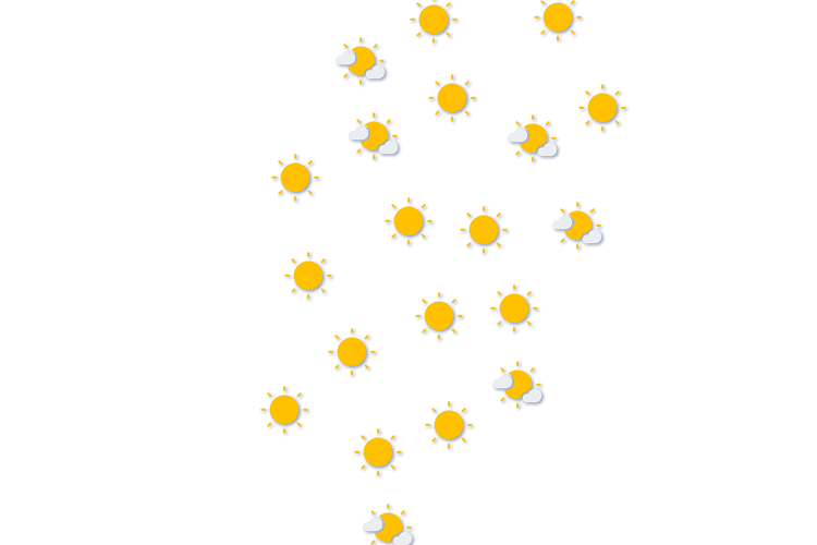 Forecast