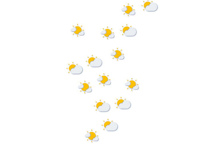 Forecast