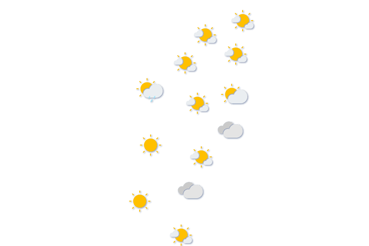 Forecast