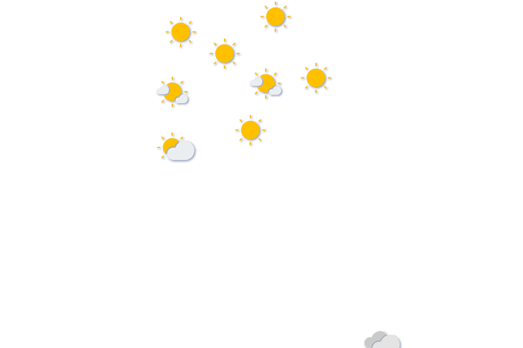 Forecast