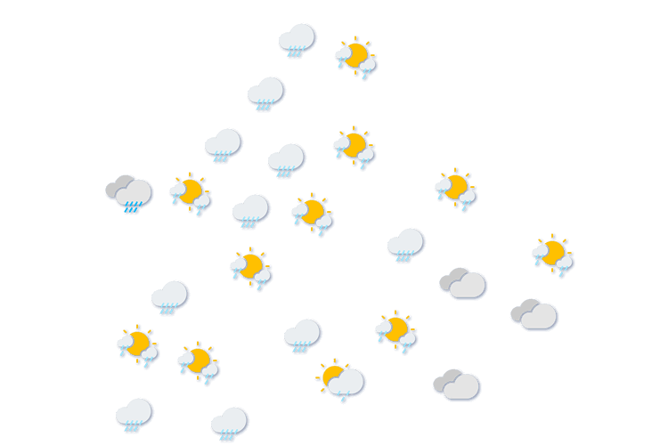 Forecast