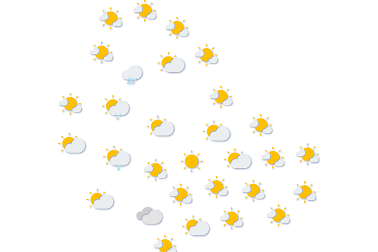 Forecast
