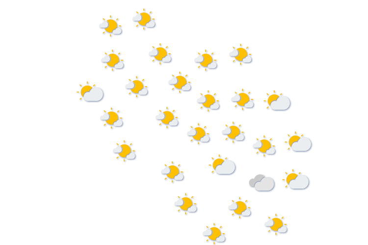 Forecast