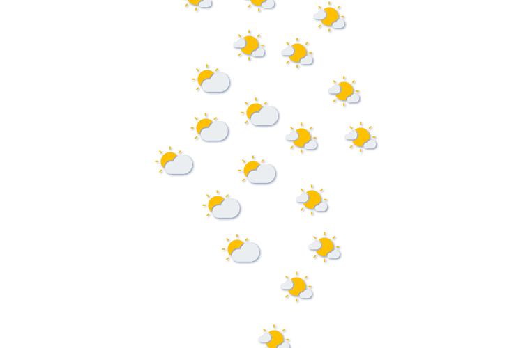 Forecast