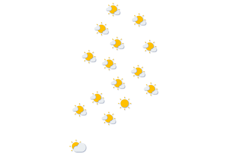 Forecast