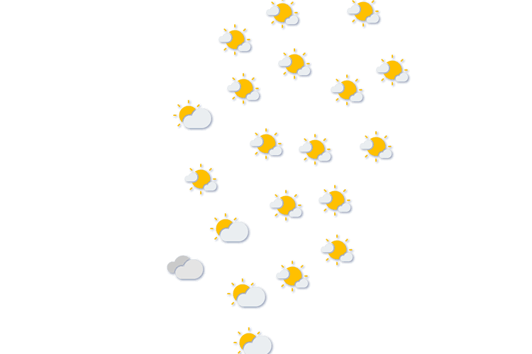 Forecast