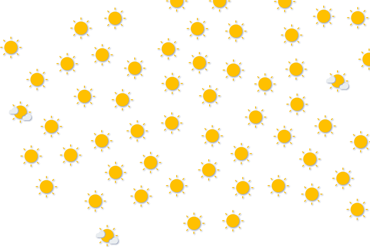 Forecast