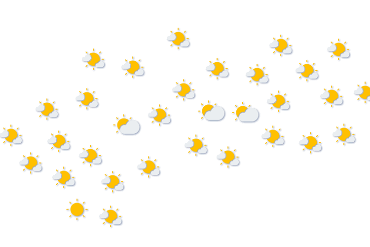 Forecast