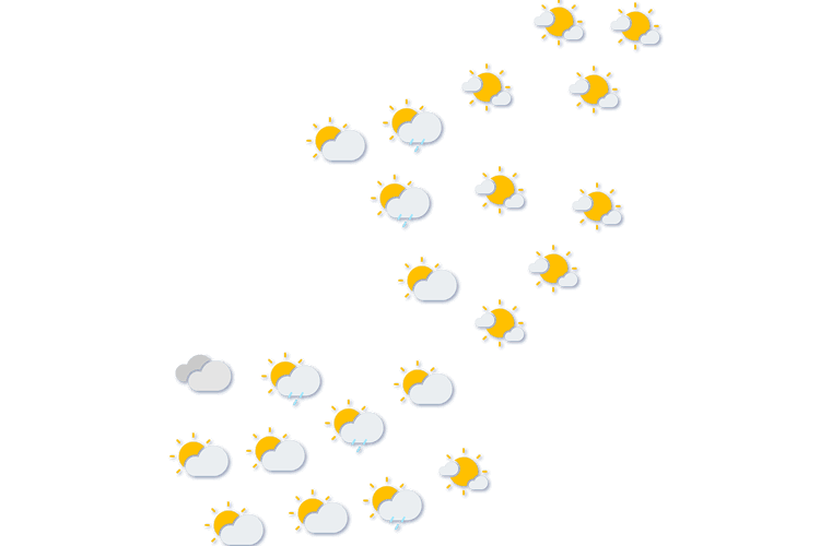 Forecast