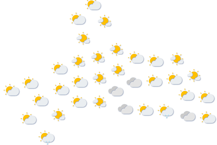 Forecast