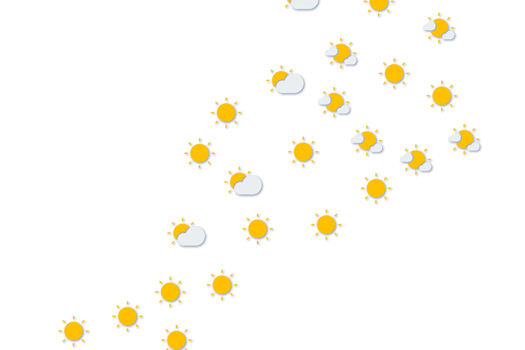 Forecast