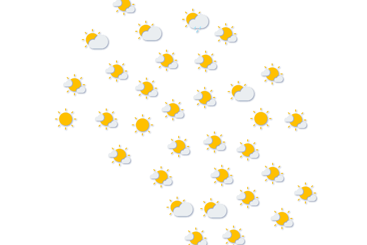 Forecast