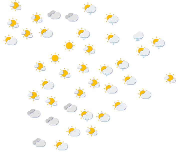 Forecast