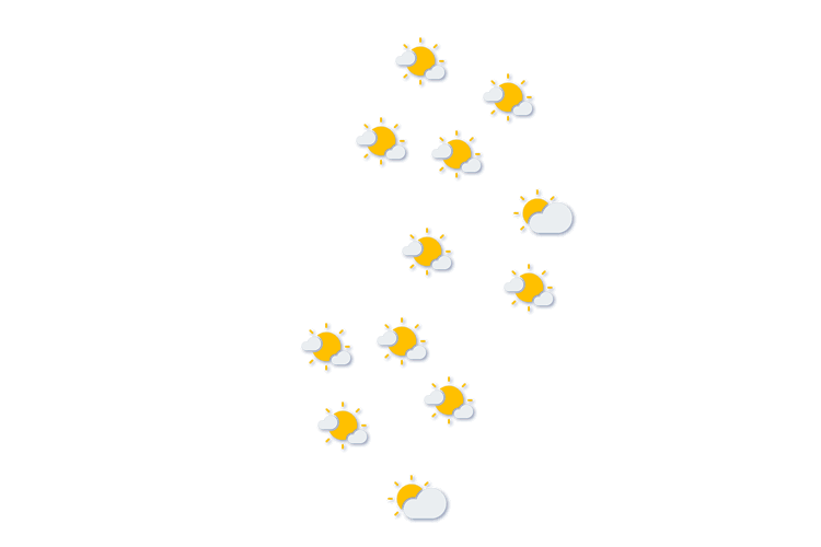 Forecast
