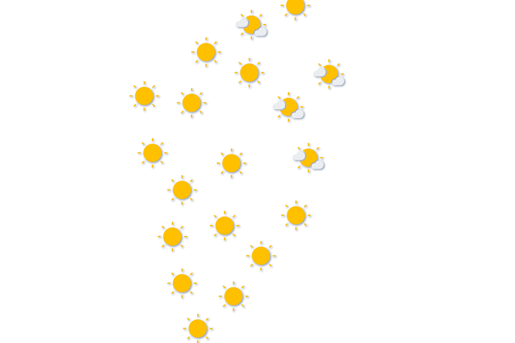 Forecast