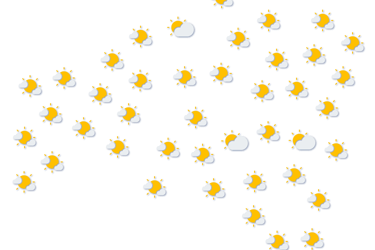 Forecast