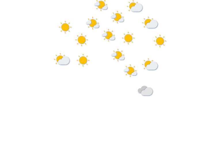 Forecast