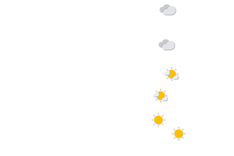 Forecast