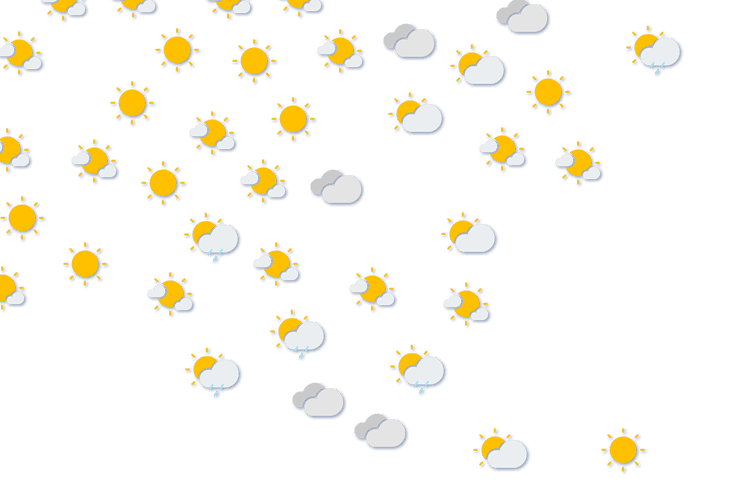 Forecast