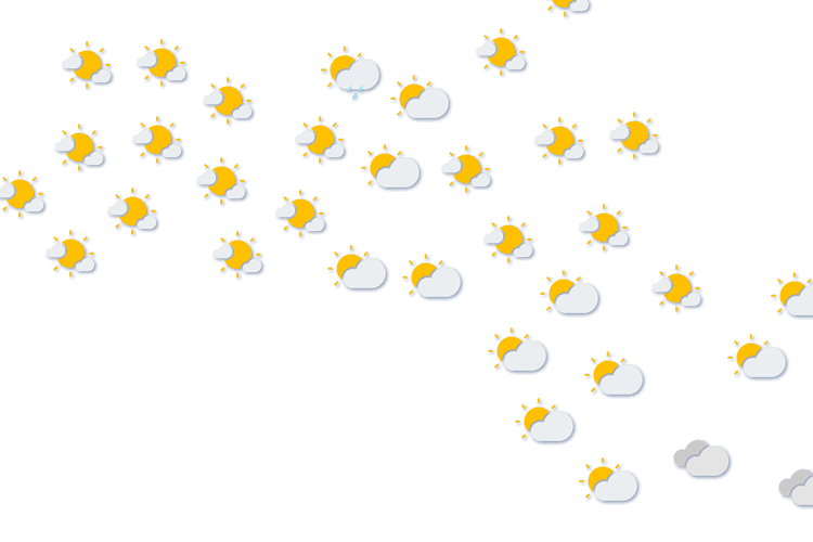 Forecast