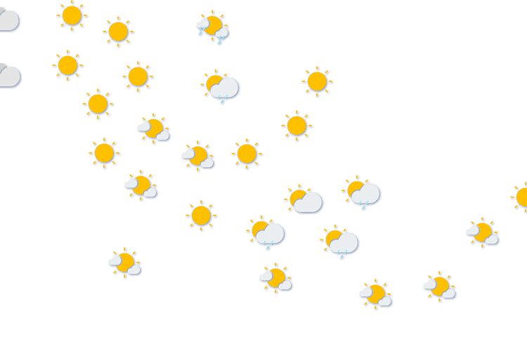 Forecast