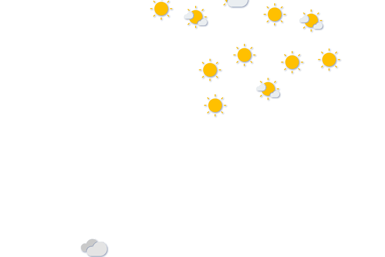Forecast