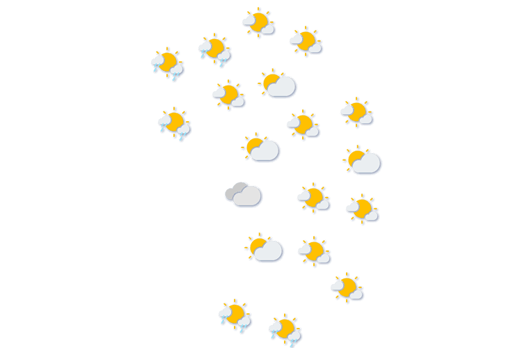 Forecast