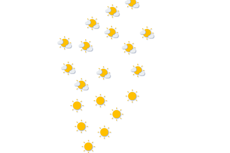 Forecast