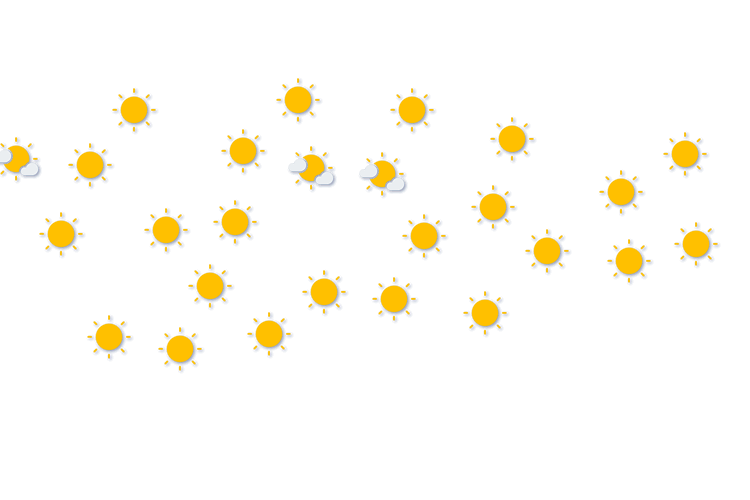 Forecast