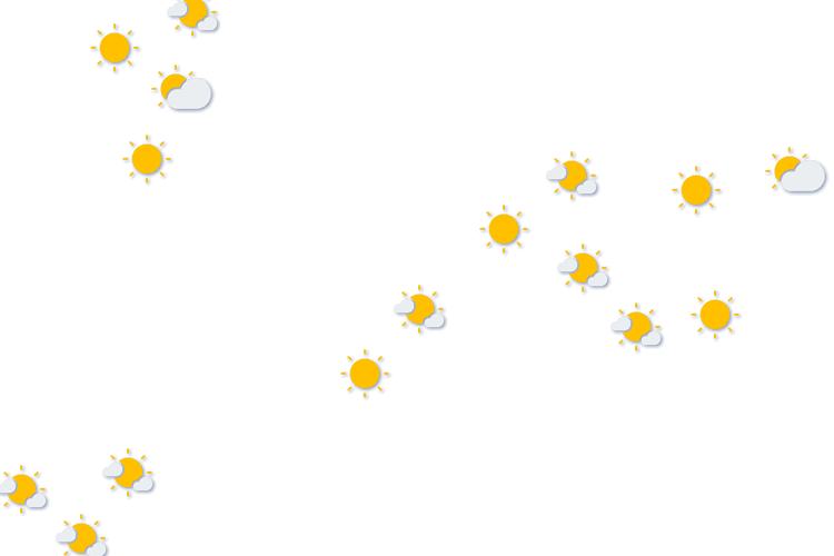 Forecast