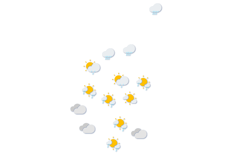 Forecast
