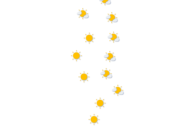 Forecast