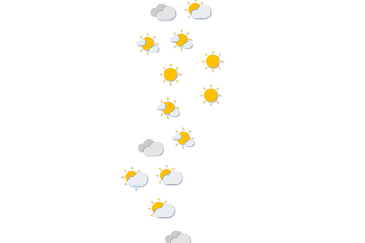 Forecast