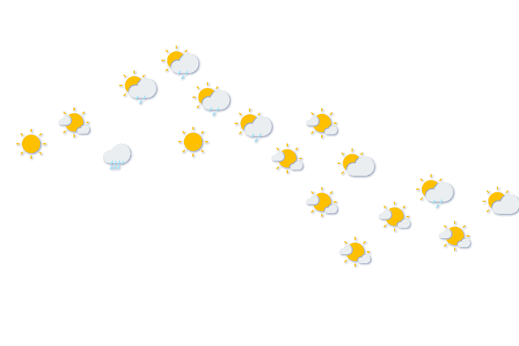 Forecast